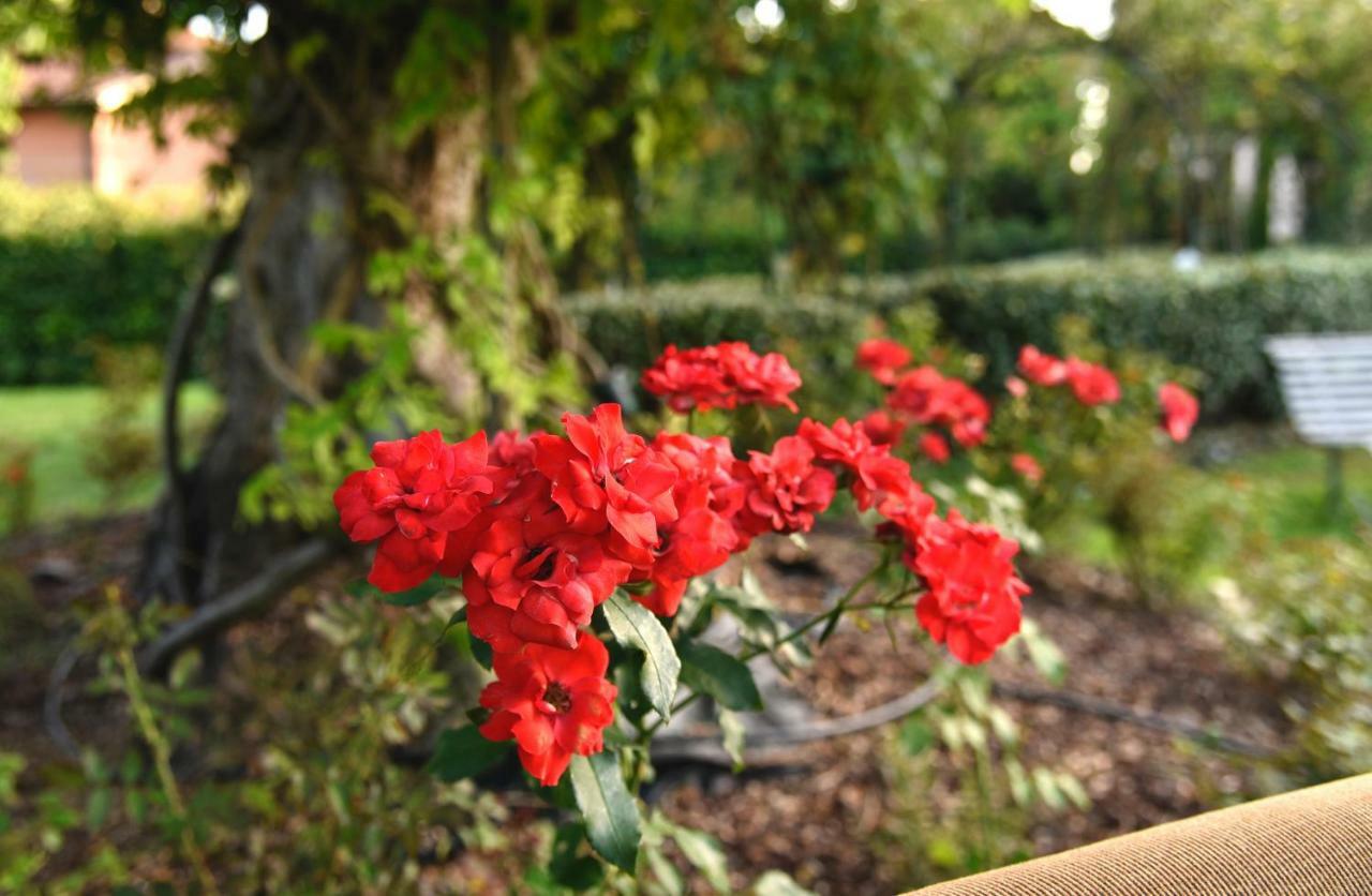 Agriturismo Argaland Parma Kültér fotó